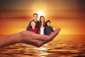 palm,sun, family